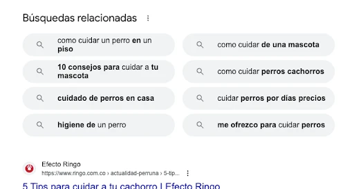 cómo cuidar a un perro búsquedas relacionadas