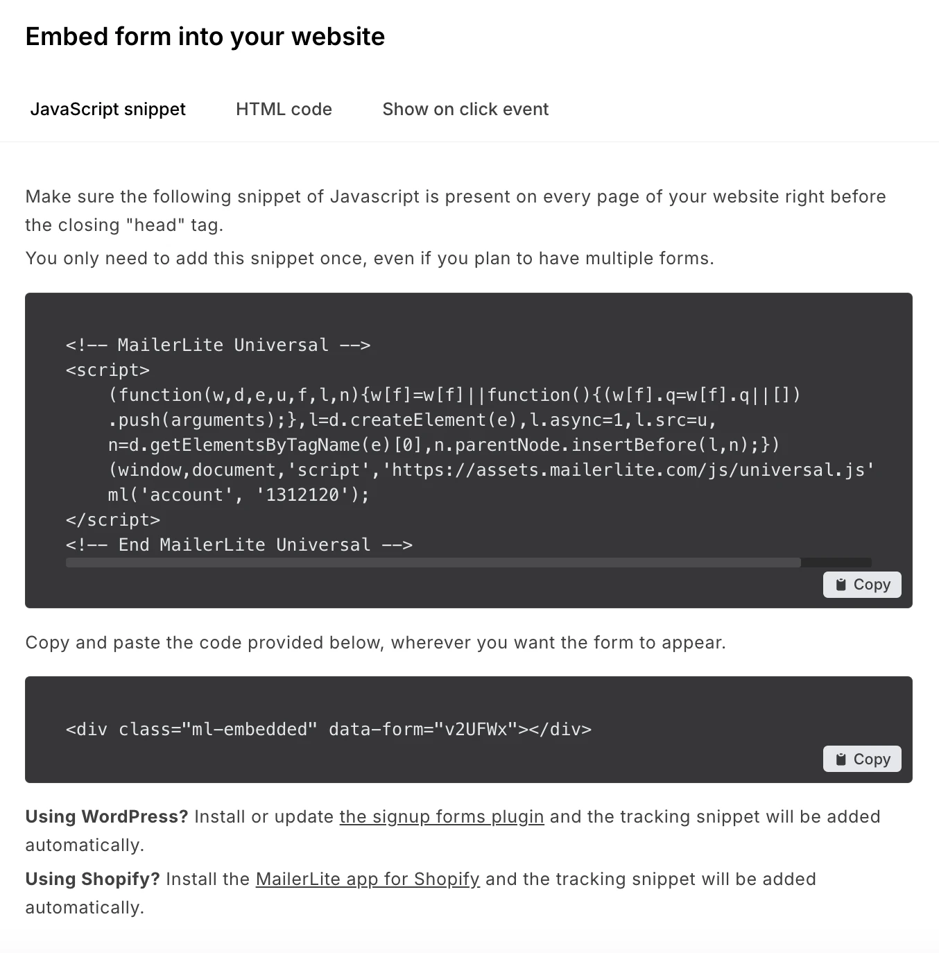 Example of a form JavaScript snippet in MailerLite.