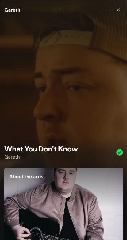 Example of a Spotify Canvas video