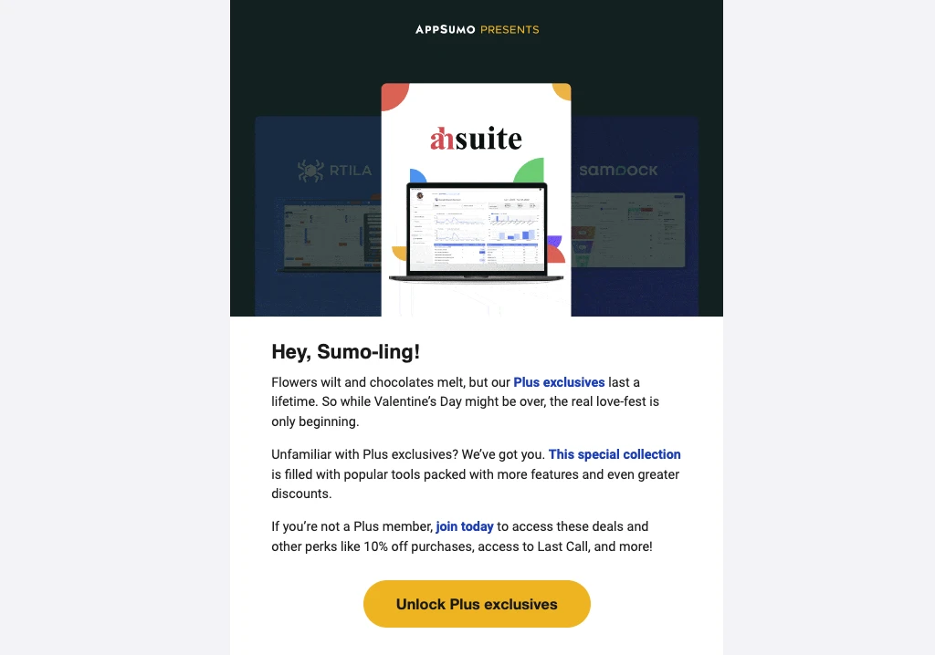 Post-Valentine's email from AppSumo