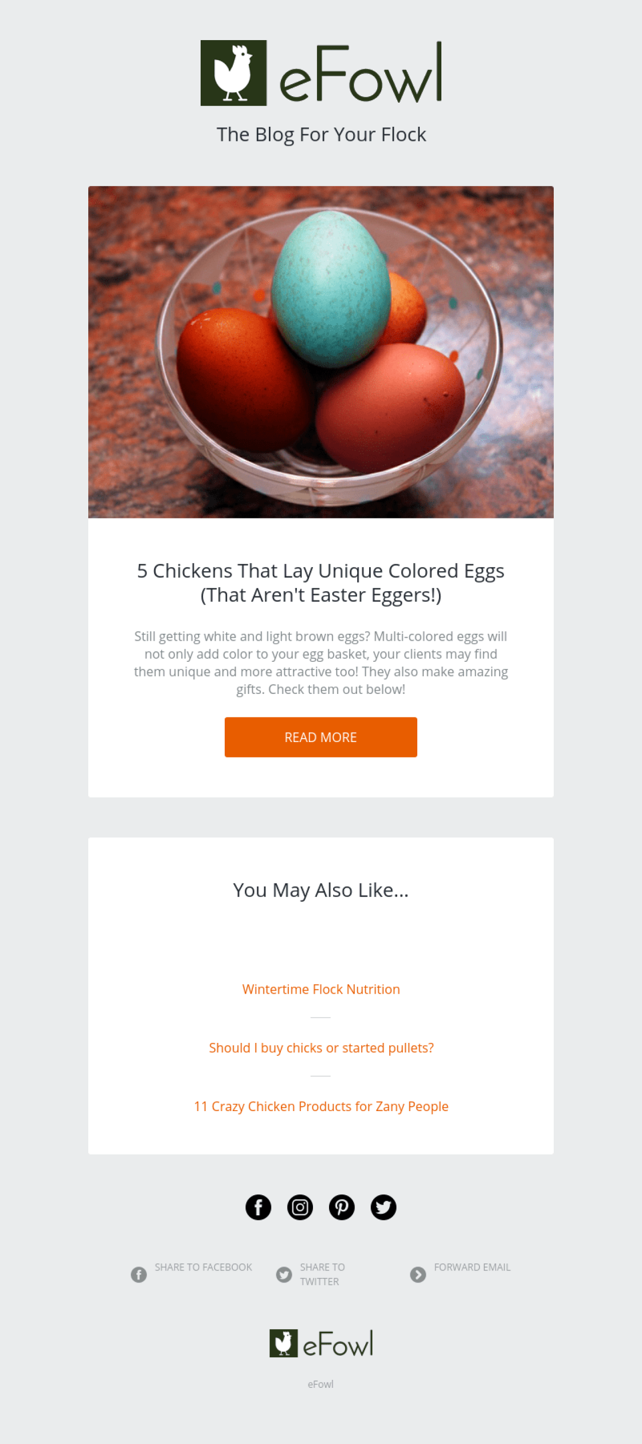 eFowl example - Made with MailerLite